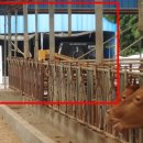 군청 민원과 이미지