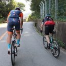 가창파출소 | [레드도트] 20180819 상원리 팔조령 감성 카페라이딩