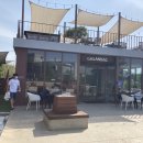 신정호길 이미지