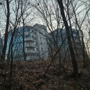 계남공원(배드민턴장) 이미지