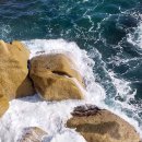 동해바다처럼 이미지