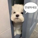 4월이야기