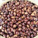 노적애뜰 이미지