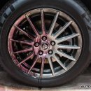 세차의정석 이미지