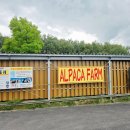 영규농장 이미지