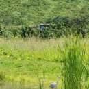 깨어있는시민 문화체험전시관 화장실 | 김해봉하마을 기억과 기록의 공간 | 깨어있는시민 문화체험전시관