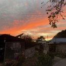 오동나무민박 이미지