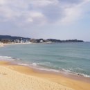 대진5리해변 이미지