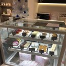 켓츠웰 익산모현점 | 세라젬 웰카페 방문 후기 (익산 모현점)