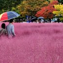 사랑마실 이미지