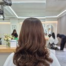 일산로 636번길 이미지