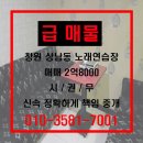 꽃노래연습장 이미지