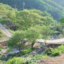 소백산 자락길 이미지