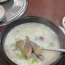 시골소머리국밥 - 청주시 흥덕구 오송2길 6 | 서울 강동구 국밥 맛집 : 시골 소머리국밥 양많은 국밥집 완뚝