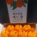 맛짱과일