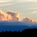 가정식식당 이미지