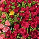 곡성-051 이미지