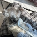 오케이참병원 앞 | 오케이징 정도면 오케이지