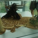 여주산림박물관.산림공원과_#2 이미지