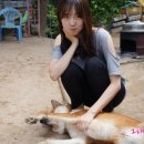 진순2호 이미지