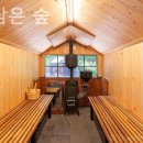 별을 담은 숲 이미지