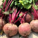 보한농장 이미지