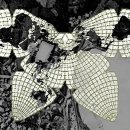 표선초등학교 이미지