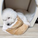 까망펜션 이미지