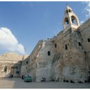 폴리하우스 이미지