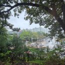 구암동395 이미지