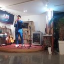 피노펠리즈 이미지