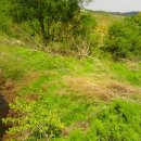 승범농장 이미지