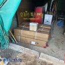 남강고등학교 이미지