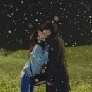 신도시동물병원 이미지