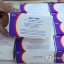 다음약국 이미지