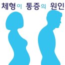 회원동246 이미지