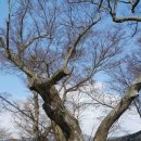 광의사거리 이미지