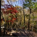 국립운문산자연휴양림야영장 이미지