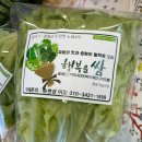 노암4리 이미지