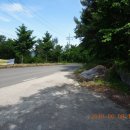 길안청송로(길안면) 이미지