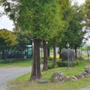 당너머한우 이미지