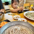 파주 오두산 막국수 ** 헤이리마을 맛집 / 메밀전 메밀국수