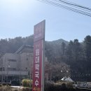원대리 자작나무숲 | [강원 인제] 원대리 자작나무숲 맛집 아이와 가기 좋은 옛날 원대막국수 후기