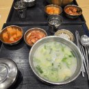 바다보다 넓은 약국 | 물치항 차박 후기, 강아지 동반 바다 차박 솔직 리뷰