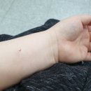 탑연합비뇨기과의원 이미지