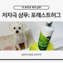 바이오포레스트 | 저자극 강아지샴푸 추천 포레스트허그｜천연 식물성 샴푸로 더위에 지친 피부 진정 보습효과