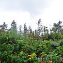 시화호수로 이미지