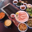 백년수고기