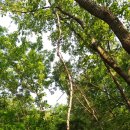 심사숙고 이미지