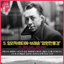 오늘의강아지 이미지